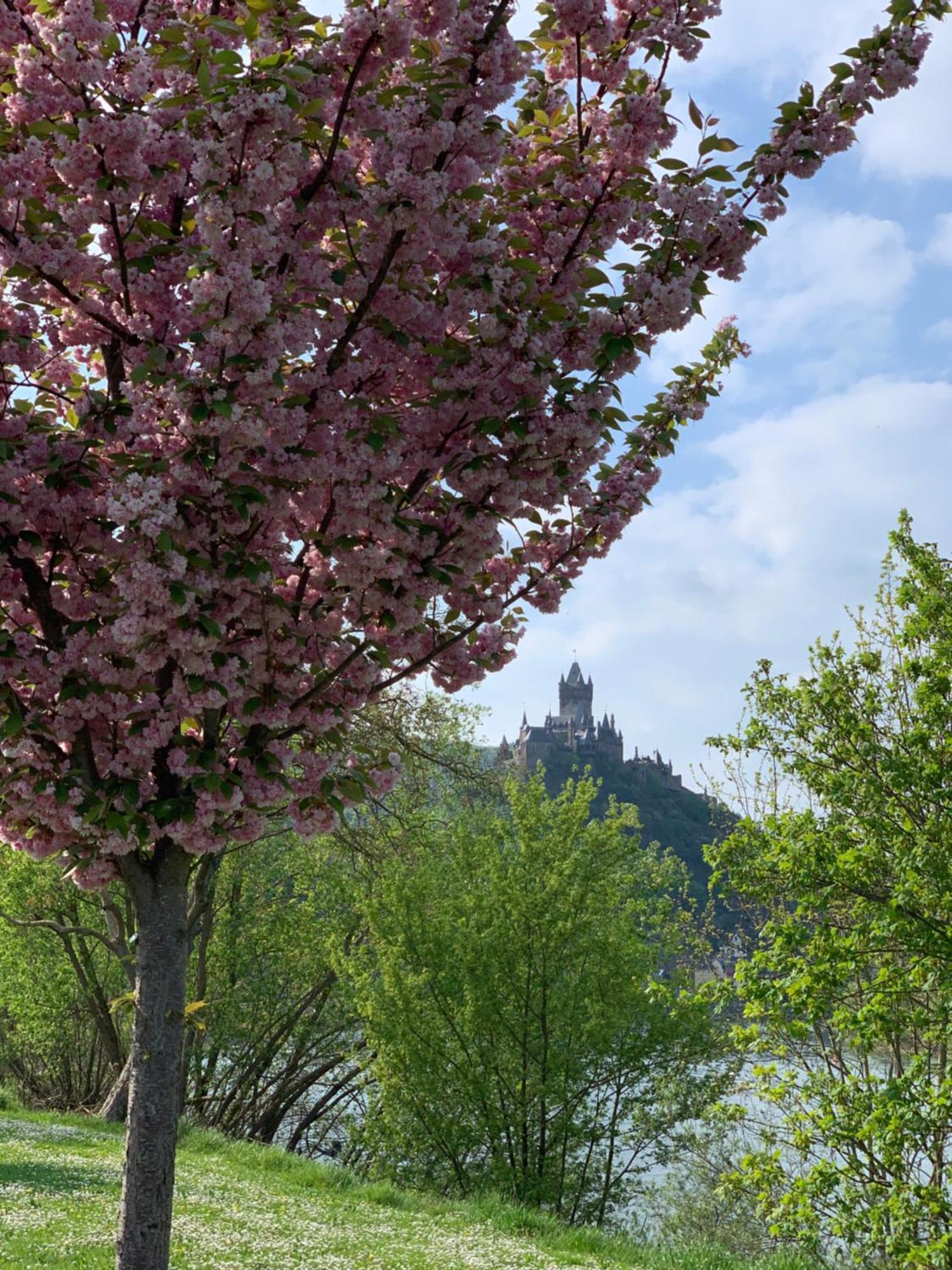 Stumbergers Hotel Cochem Exterior photo